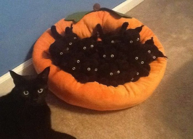 Субботний Фотопозитив 