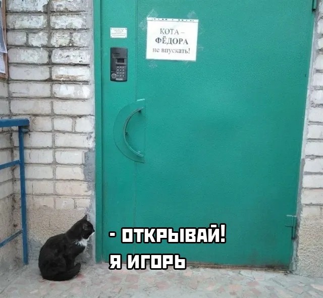 Подборка прикольных картинок 