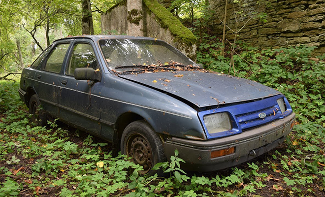 Грибник нашел в чаще леса машину 1989 года и попробовал ее завести