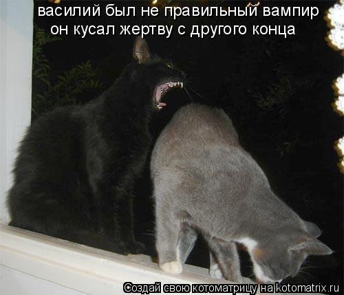 Ночная котоматрица (12 шт)
