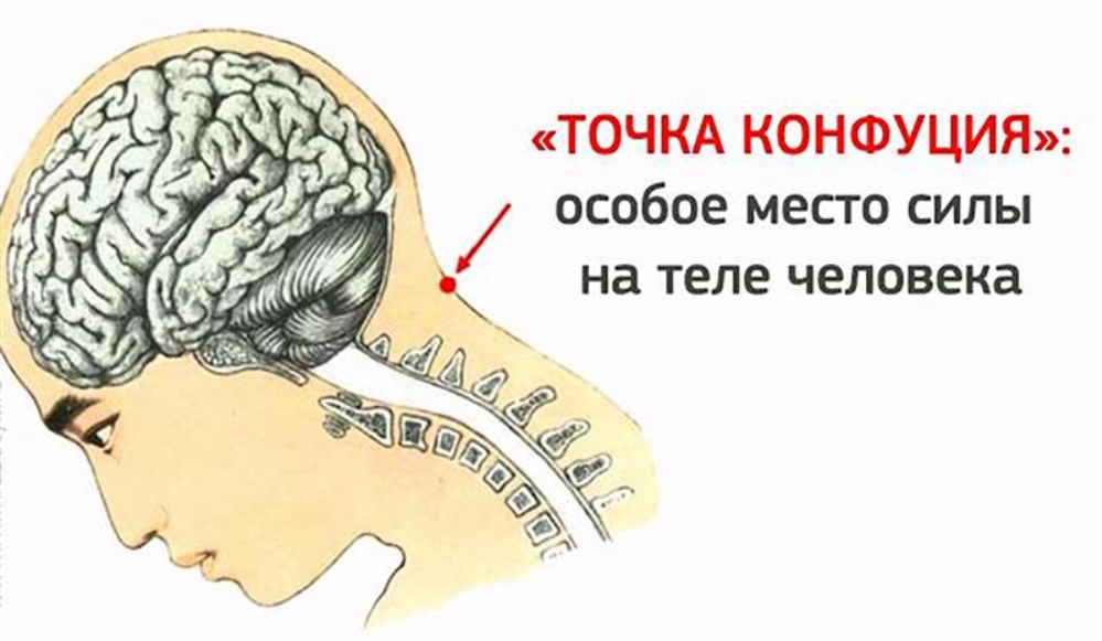 "Точка Конфуция" - особое место силы на теле человека