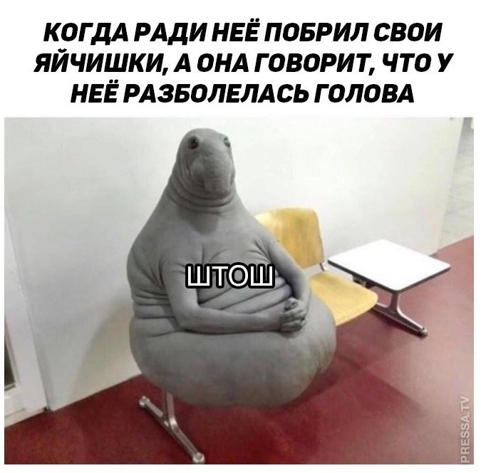 Немного мемов и прикольных картинок Немного мемов и прикольных картинок