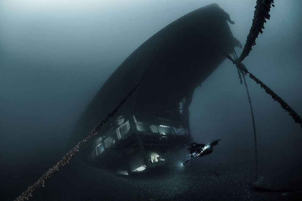 Победители конкурса подводной фотографии 2019 природа
