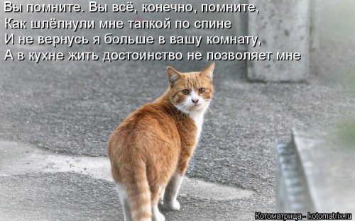 Самые прикольные котоматрицы за прошедшую неделю 