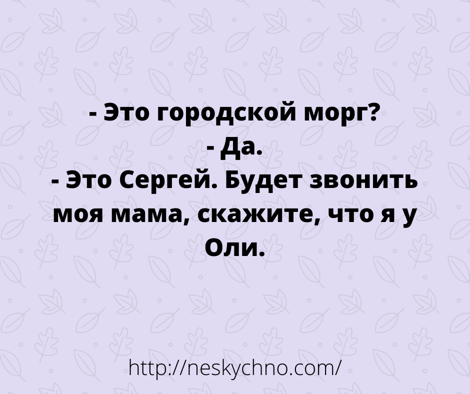 Замечательная подборка анекдотов и шуток в картинках 