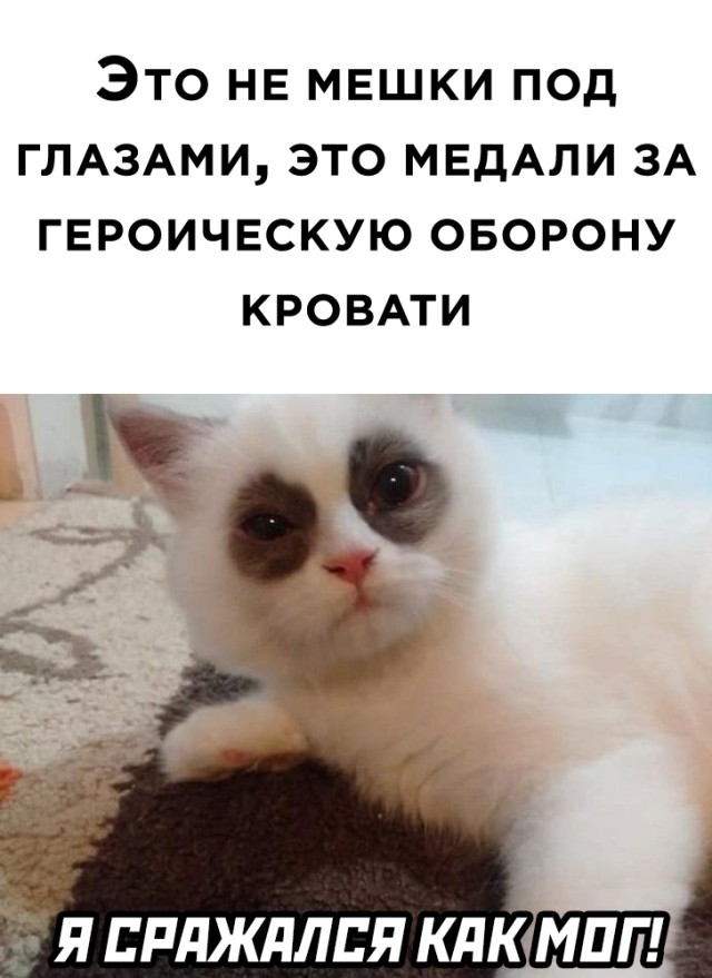 Подборка прикольных картинок Подборка прикольных картинок приколы,смешные картинки,юмор