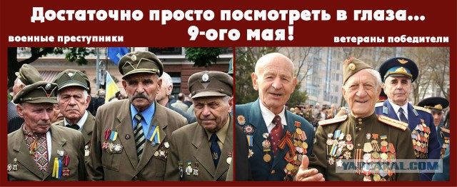 Волынская резня: долгий путь к исторической правде