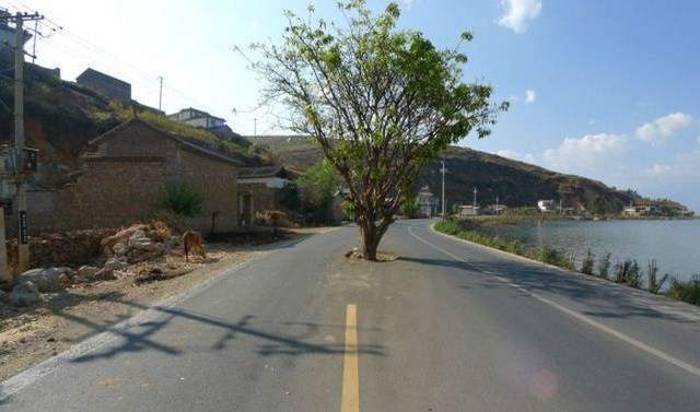 Подборка автомобильных приколов Подборка автомобильных приколов смешные картинки