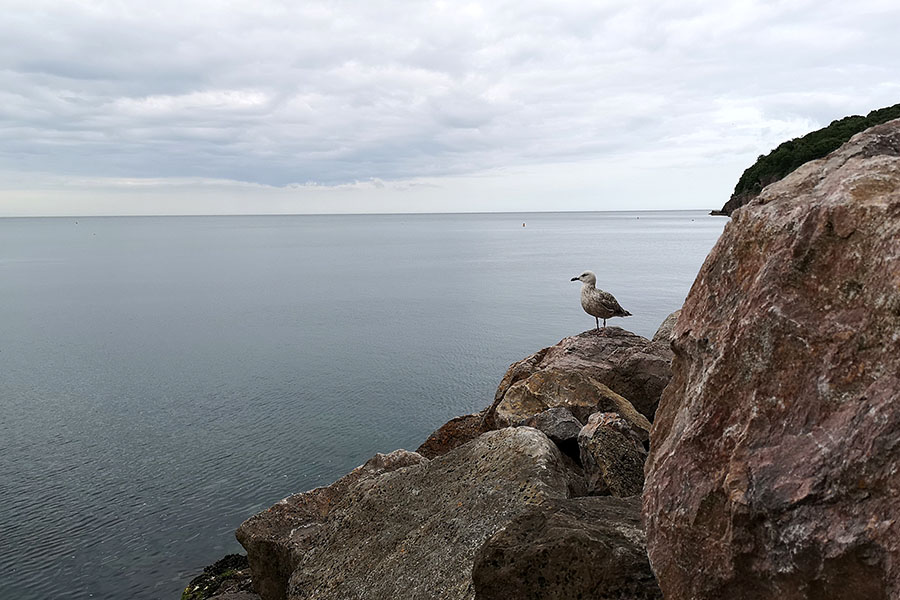 Ради чего стоит побывать в городке Баббакомб (Babbacombe)