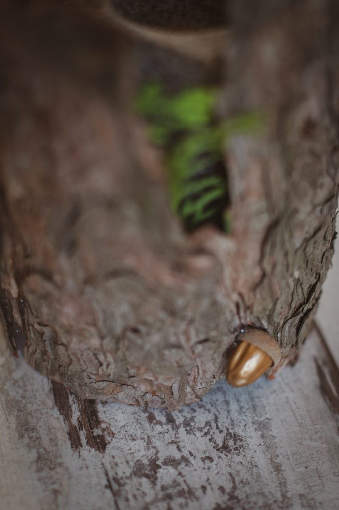 Трофеи с осенней прогулки превращаются в красивый сезонный декор Трофеи с осенней прогулки превращаются в красивый сезонный декор декор,домашний досуг,своими руками