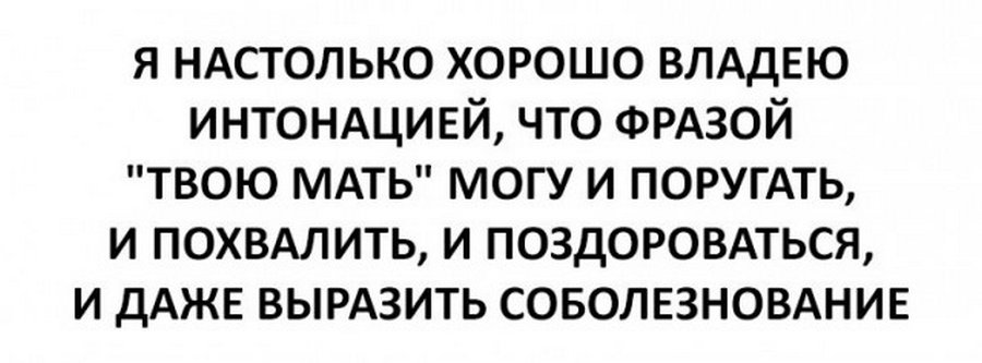 Настолько хорошо. Интонация прикол. На столько хорош. Фразой твою мать может. Настолько хорошо владеет интонацией, что фразой.