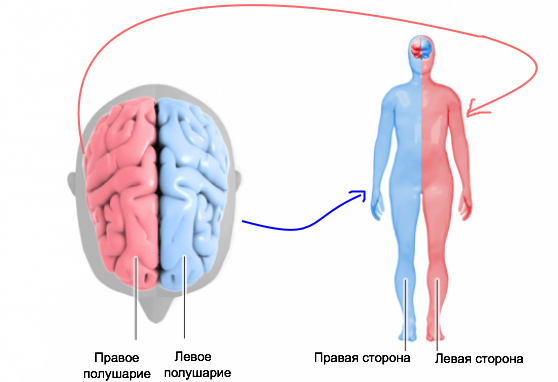 Связь с правой стороной