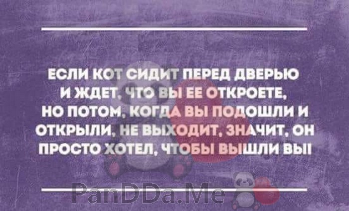 И снова готова новая подборочка из 15 коротких смешных рассказов для отличного настроения И снова готова новая подборочка из 15 коротких смешных рассказов для отличного настроения