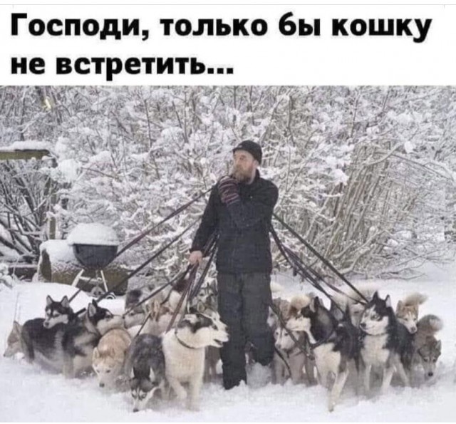 Искромётная подборка позитива и анекдотов в картинках 