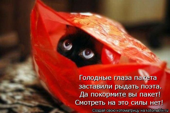 Мысли вслух :)
