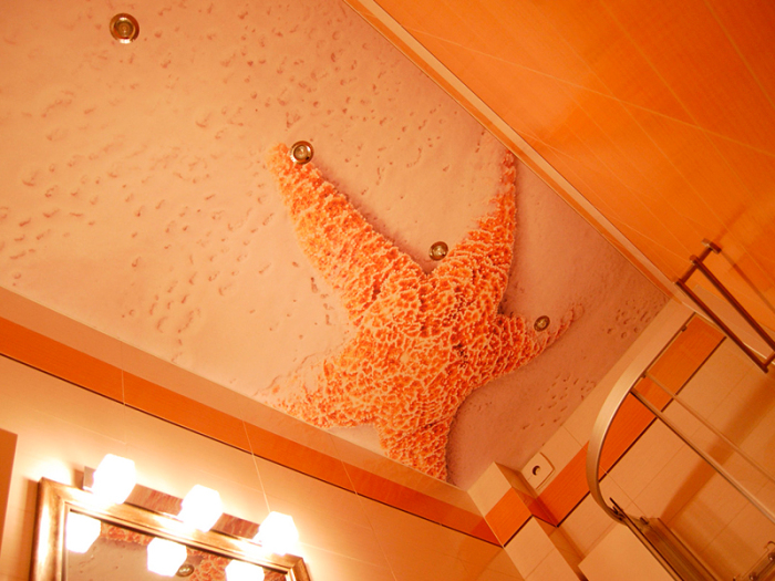 Натяжной потолок в ванной: дизайнерская ересь или отличное решение для дома Натяжной потолок в ванной: дизайнерская ересь или отличное решение для дома идеи для дома,интерьер и дизайн