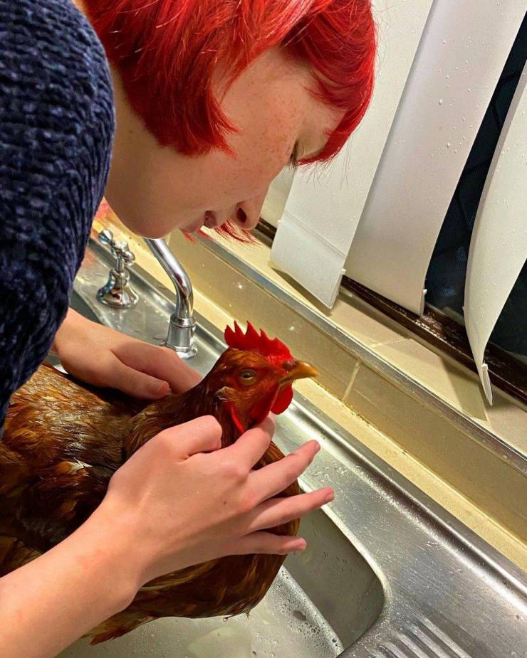 Подборка прикольных картинок  приколы,смешные картинки,юмор