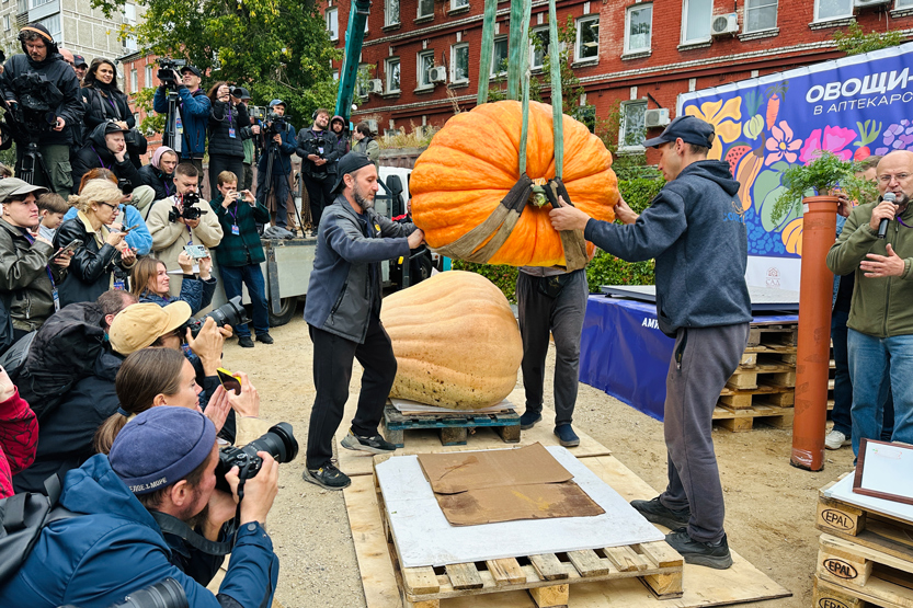 3. Без подписи