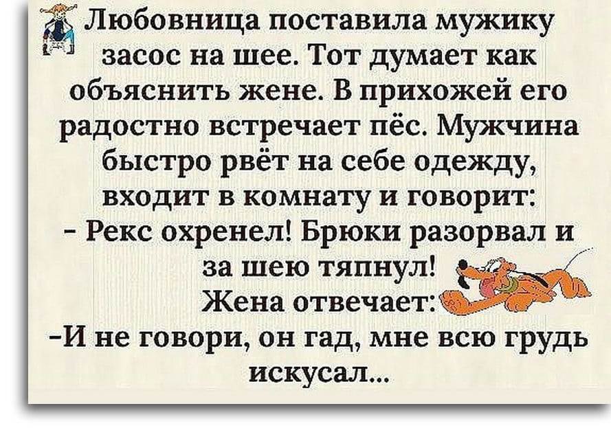 Смешные рассказы на картинках