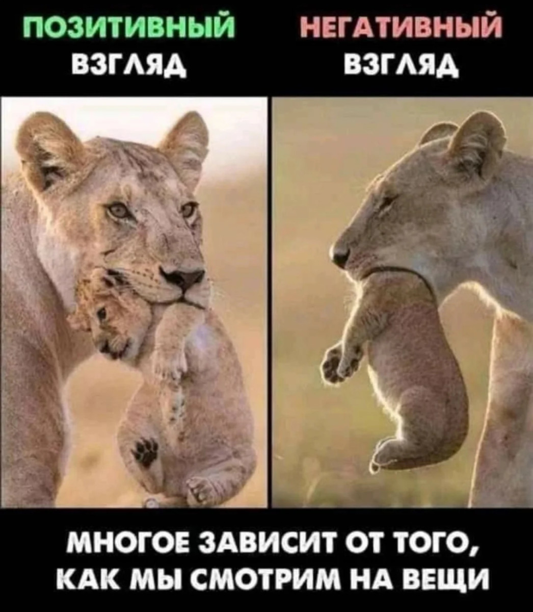 Купил самоклеящиеся обои. Сижу. Жду 