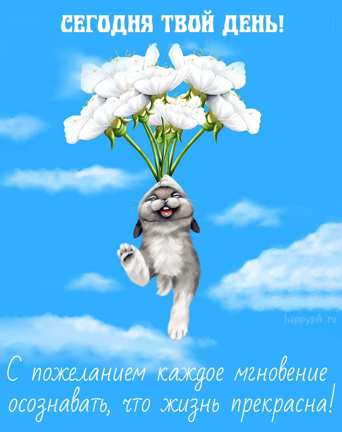 Искромётная подборка позитива и анекдотов в картинках 