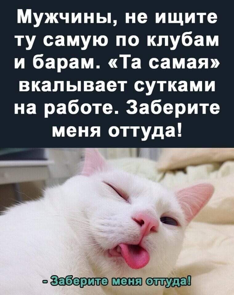 Очень улетные картинки Очень улетные картинки