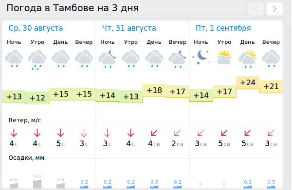 Погода в тамбове сегодня сейчас 2024