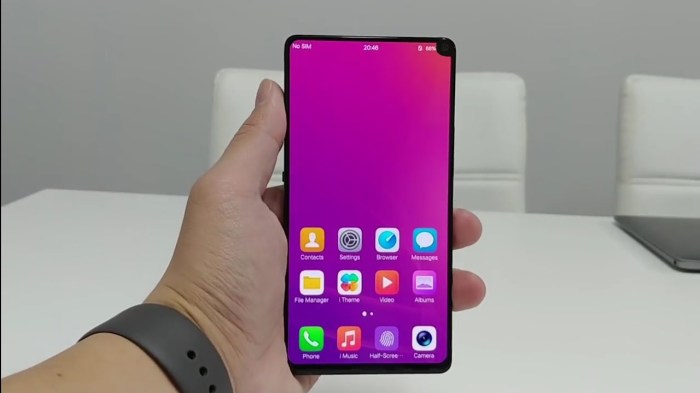 Не самый плохой выбор в лице Xiaomi Mi MIX 2S.