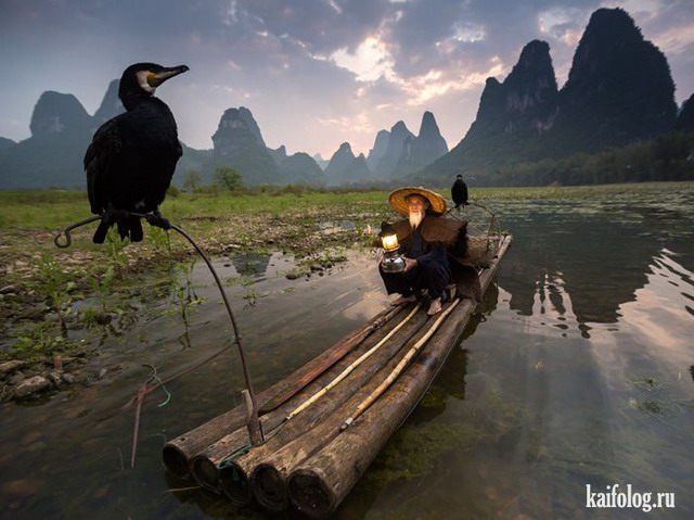   National Geographic 2015 (75 )