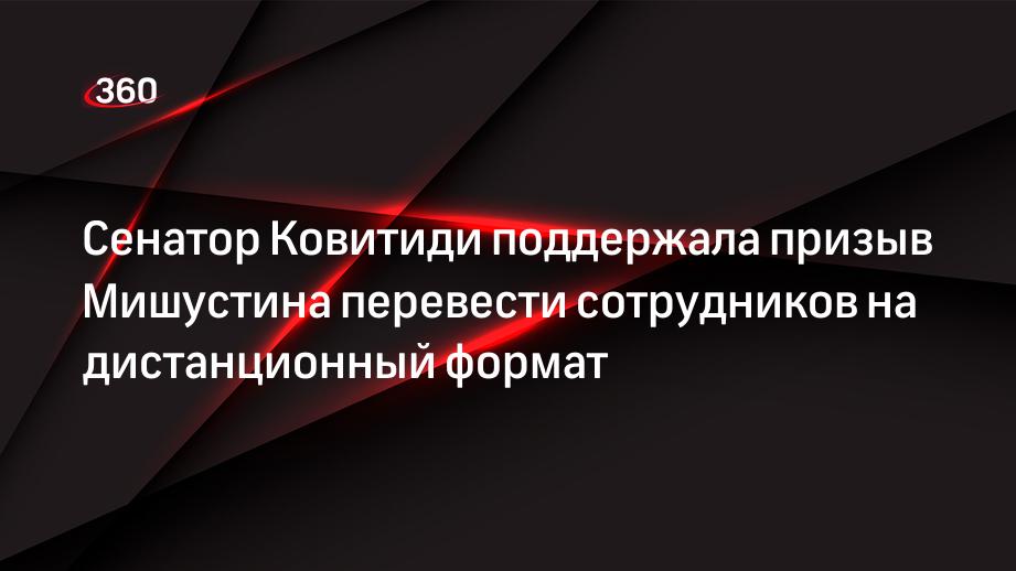 Сенатор Ковитиди поддержала призыв Мишустина перевести сотрудников на дистанционный формат