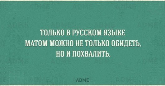 ТОНКОСТИ РУССКОГО ЯЗЫКА прикол,юмор