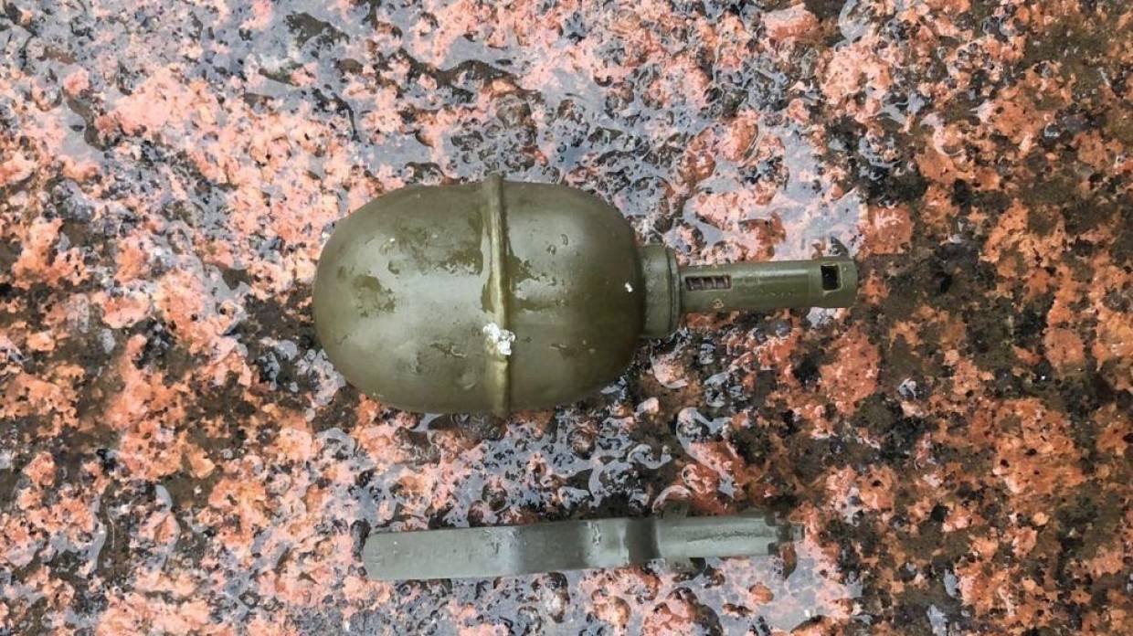 Гранату обнаружили на льду рядом с крейсером «Аврора» в Петербурге