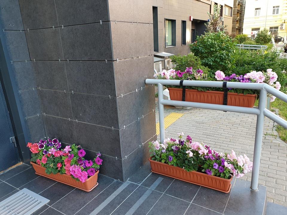 Цветник в городском дворе – советы практика двор,ландшафтный дизайн,цветник