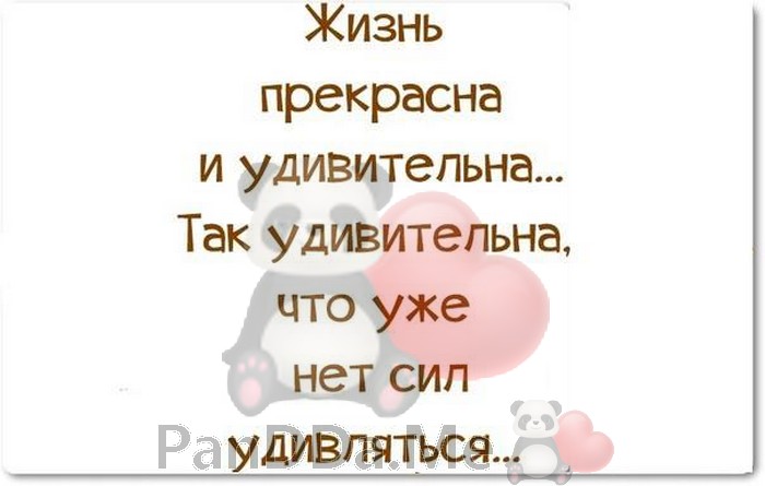 И снова готова новая подборочка из 15 коротких смешных рассказов для отличного настроения И снова готова новая подборочка из 15 коротких смешных рассказов для отличного настроения