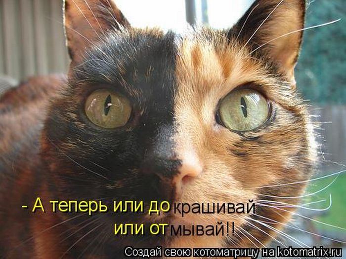Мысли вслух :)
