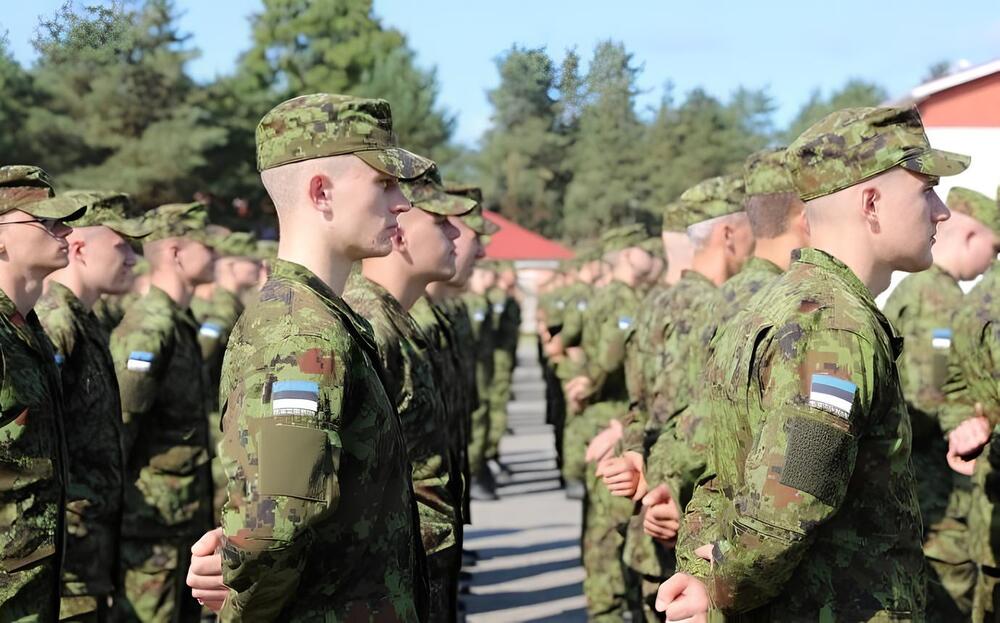 «Змеиные слова» – Эстония выстраивает территориальную оборону от России геополитика