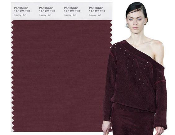 2017 Pantone fall color trend tawny port