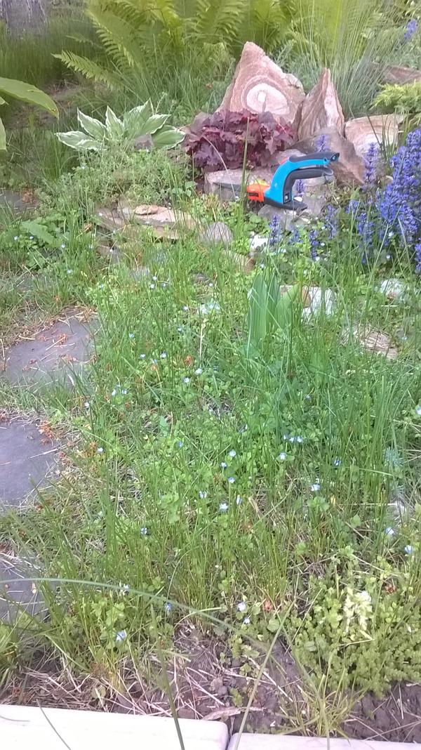 Как я их хотела!!! Ножницы от Gardena Как я их хотела!!! Ножницы от Gardena