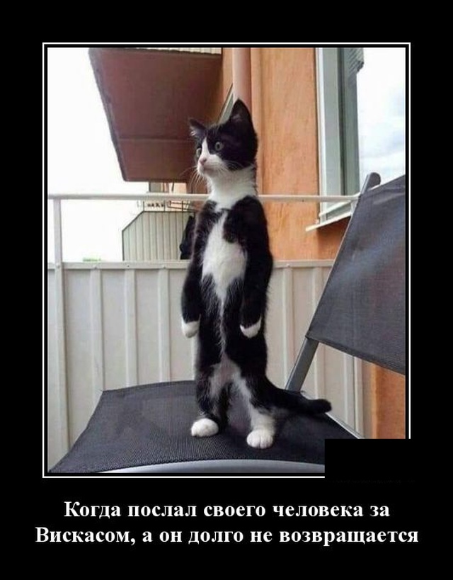 Прикольные и смешные демотиваторы из сети для веселья Прикольные и смешные демотиваторы из сети для веселья демотиваторы свежие,приколы,смешные демотиваторы,юмор