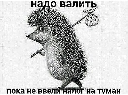 На автозаправке: — Должен вас предупредить: с сегодняшнего дня бензин подорожал... весёлые