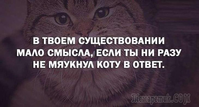 Иногда проще найти новую девушку своей мечты, чем исполнить мечту своей девушки! веселые картинки