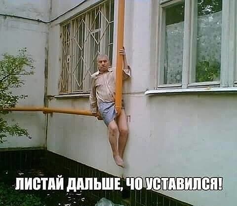 Шутки для настроения Шутки для настроения