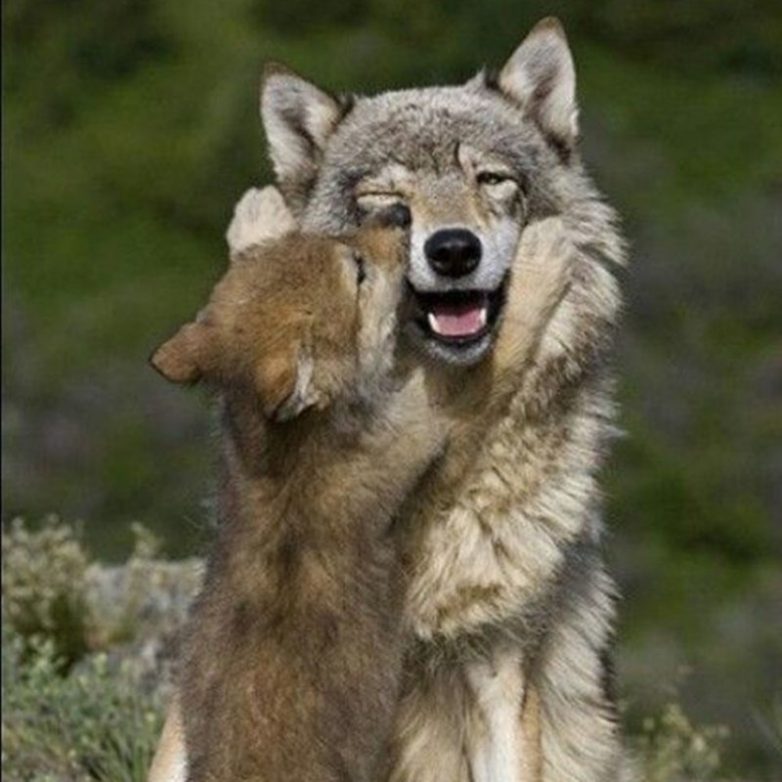 Мамочки и их детки Мамочки и их детки