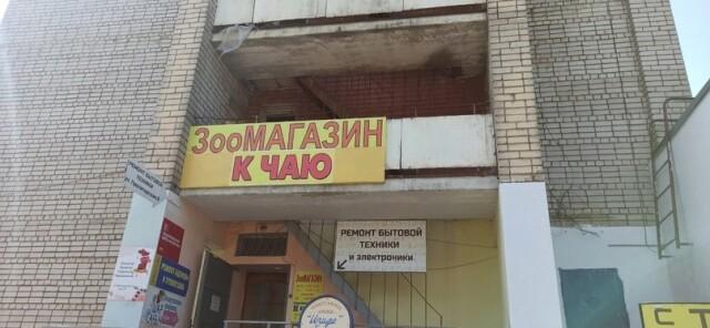 Свежие лучшие фото-приколы 
