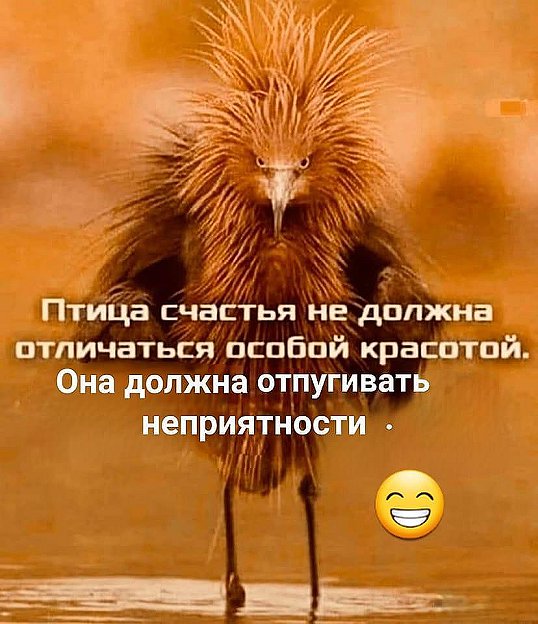 Подборка  юмора для хорошего настроения 