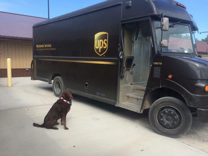 ups-dogs-facebook-group-drivers-meet-routes-sean-mccarren-43