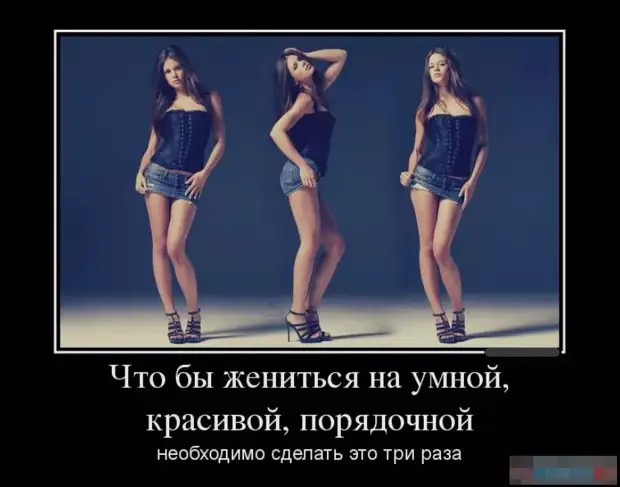 - Я, в принципе, готов признать кошек умными существами. Но при одном условии. Пусть они перестанут скрести пол рядом с лотком - Я, в принципе, готов признать кошек умными существами. Но при одном условии. Пусть они перестанут скрести пол рядом с лотком Пикассо, Карузо, помню, Вопросов, почему, товарищ, ничего, Проходите, говорит, резко, палкой, стриптиз, России, командира, инфляция, военный, съела, другой, выпила, частично