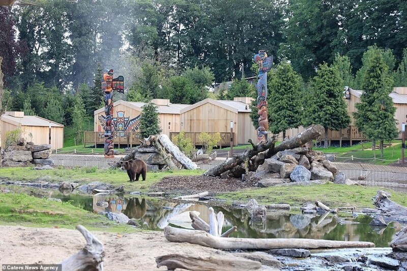 Зоопарк в Бельгии открыл номера с видом на животных