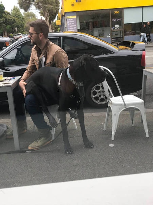 Подборка картинок Подборка картинок позитив