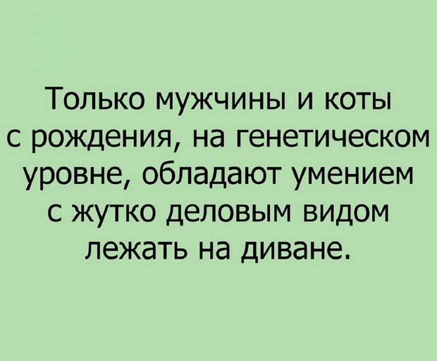 Проснулся с мыслью: скоро сессия. Рaсстроился… юмор,приколы,Юмор,картинки приколы,приколы,приколы 2019,приколы про